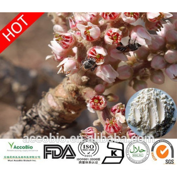 Entrega Rápida Amostra Grátis 65% Boswellic Acid, Boswellia Serrata Extract